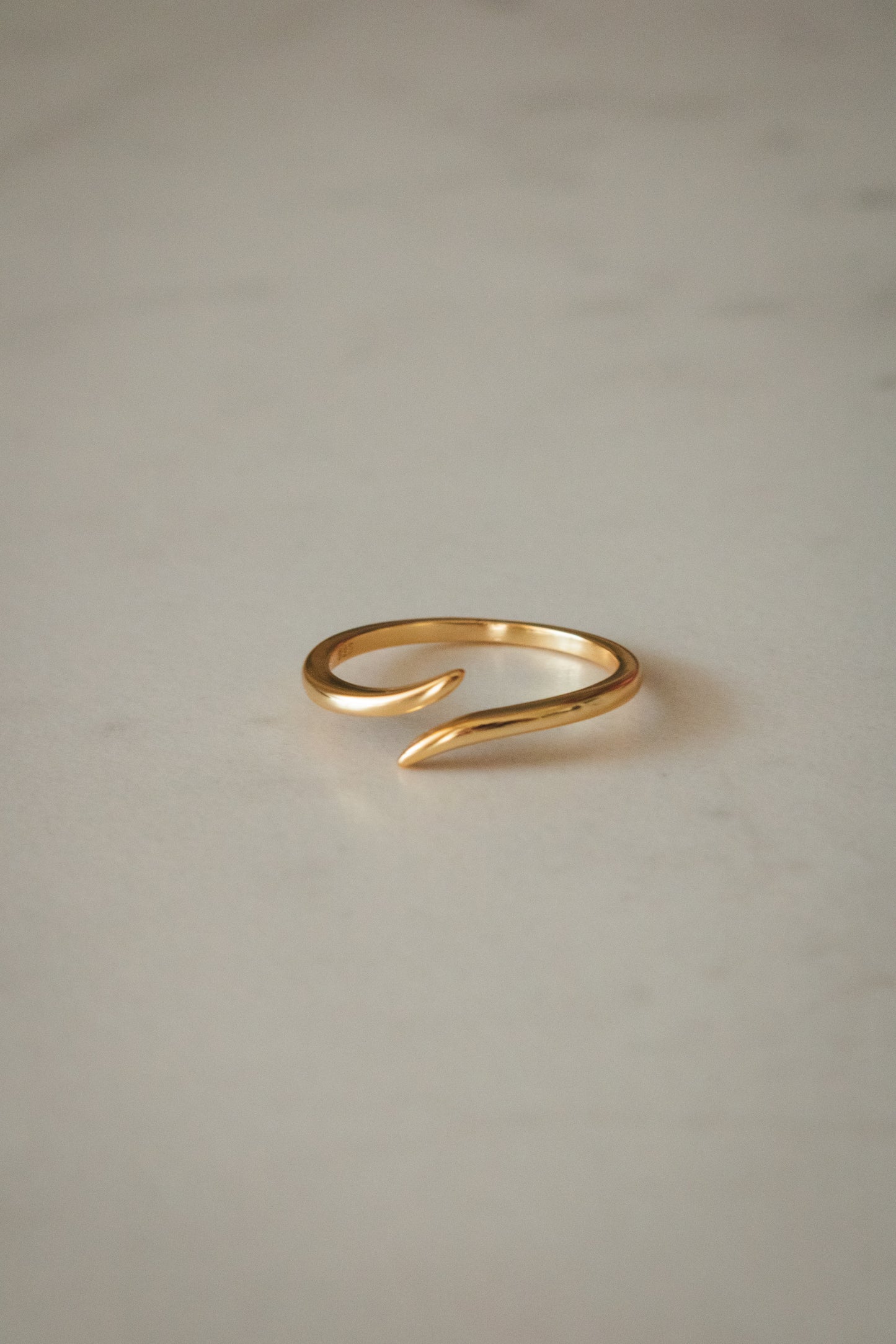 NEVER ENDING Anillo