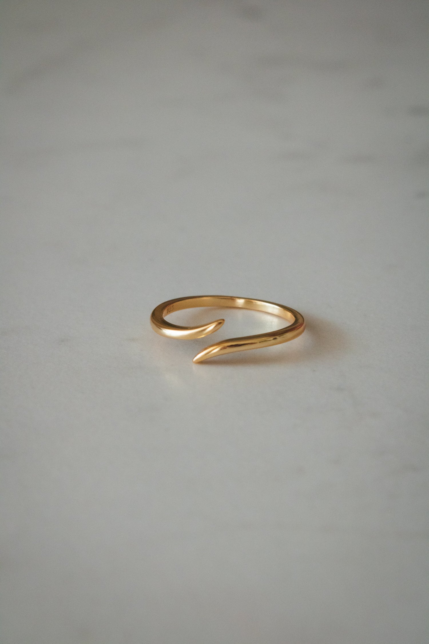 Anillos