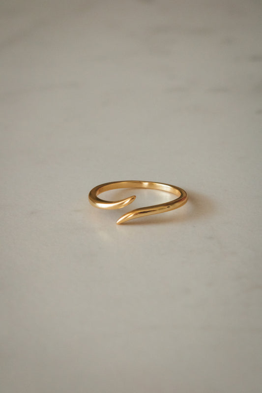 NEVER ENDING Anillo