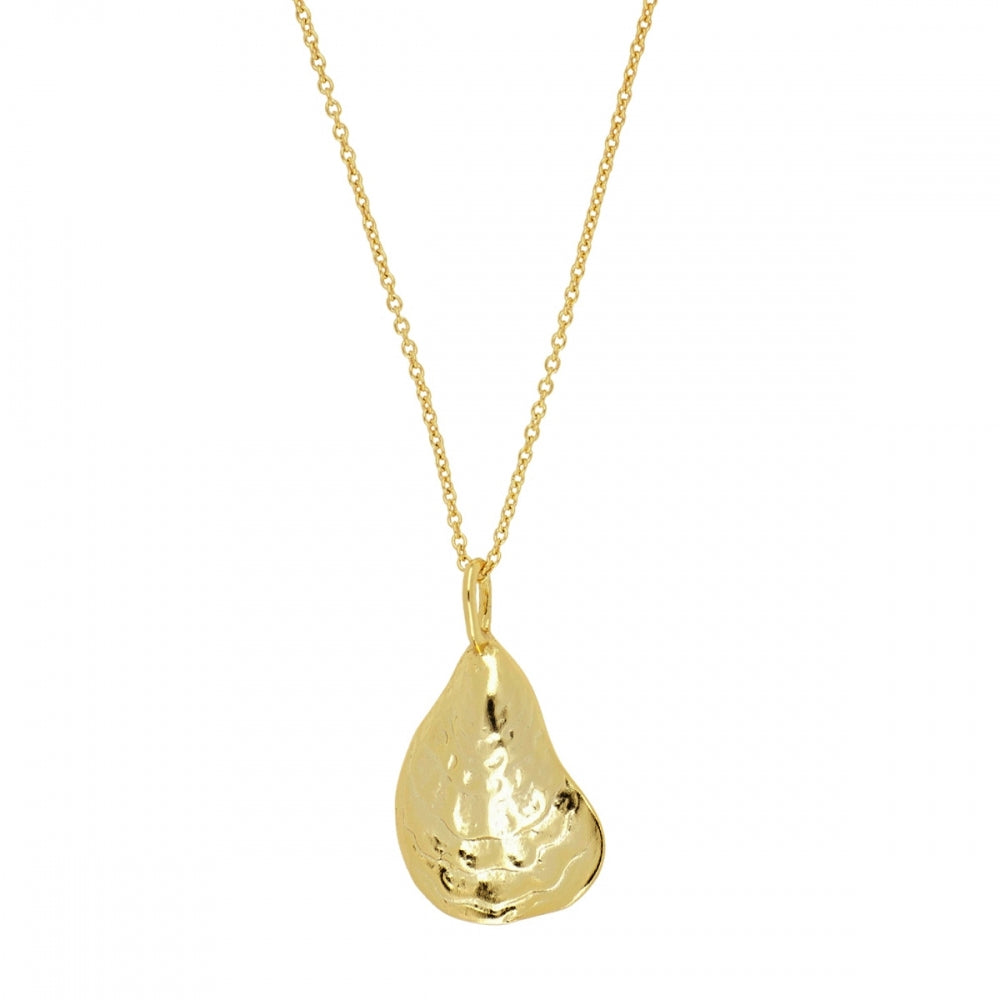 SEASHELL Collar con baño de oro 18k