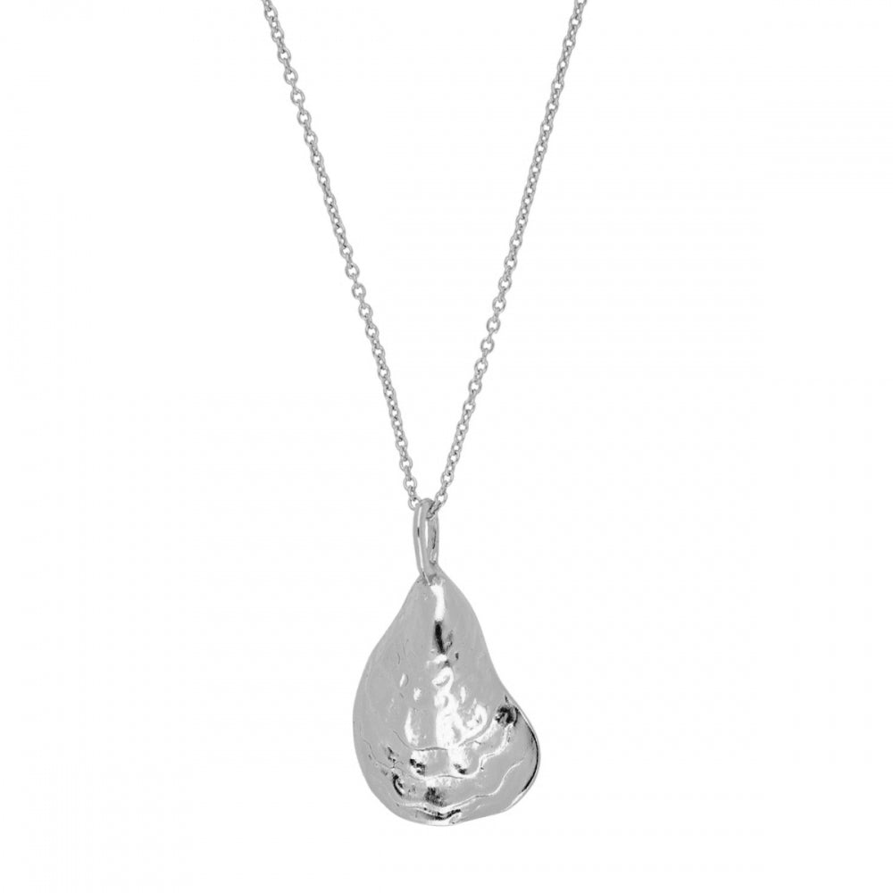 SEASHELL Collar de plata rodiada