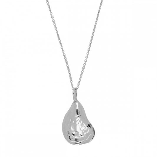 SEASHELL Collar de plata rodiada