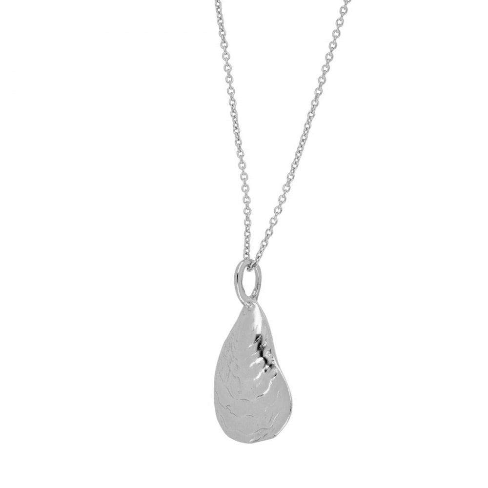 SEASHELL Collar de plata rodiada