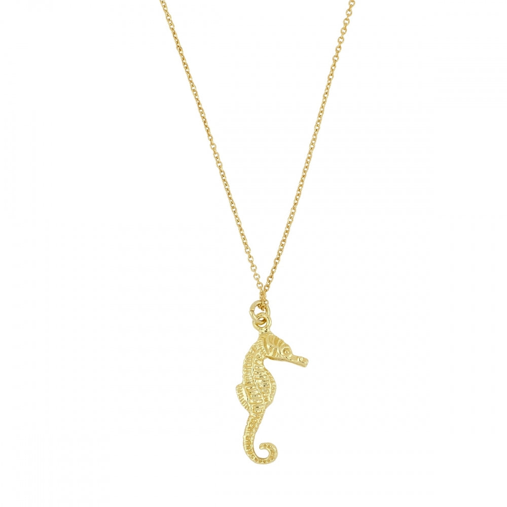 SEA HORSE Collar con baño de oro 18k